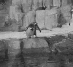 penguin-push