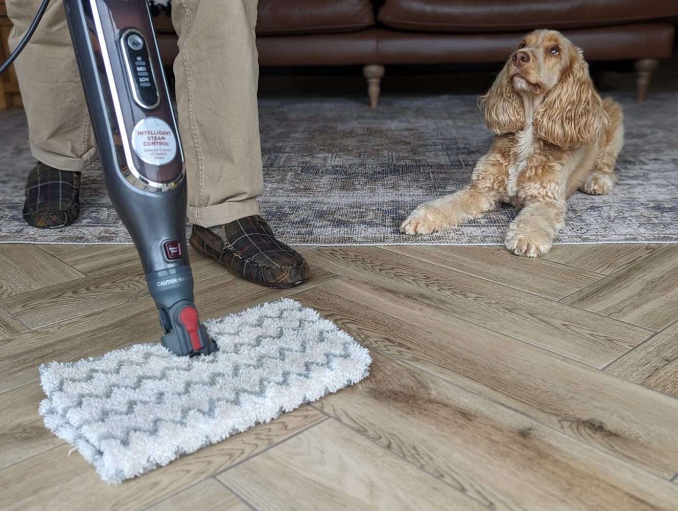 Steaming action shot, tile, living room, dog (1)