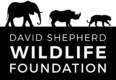 DSWF+LOGO+-+Black